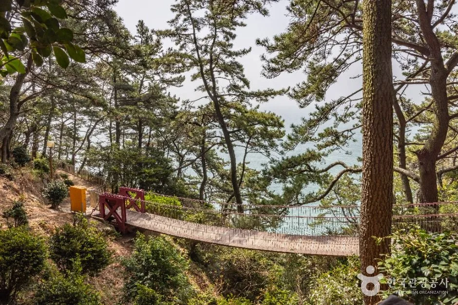 부산_부산 암남공원 (1)