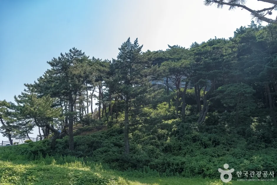 화진포(강원평화지역 국가지질공원)8