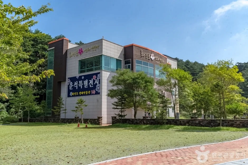 화진포설화