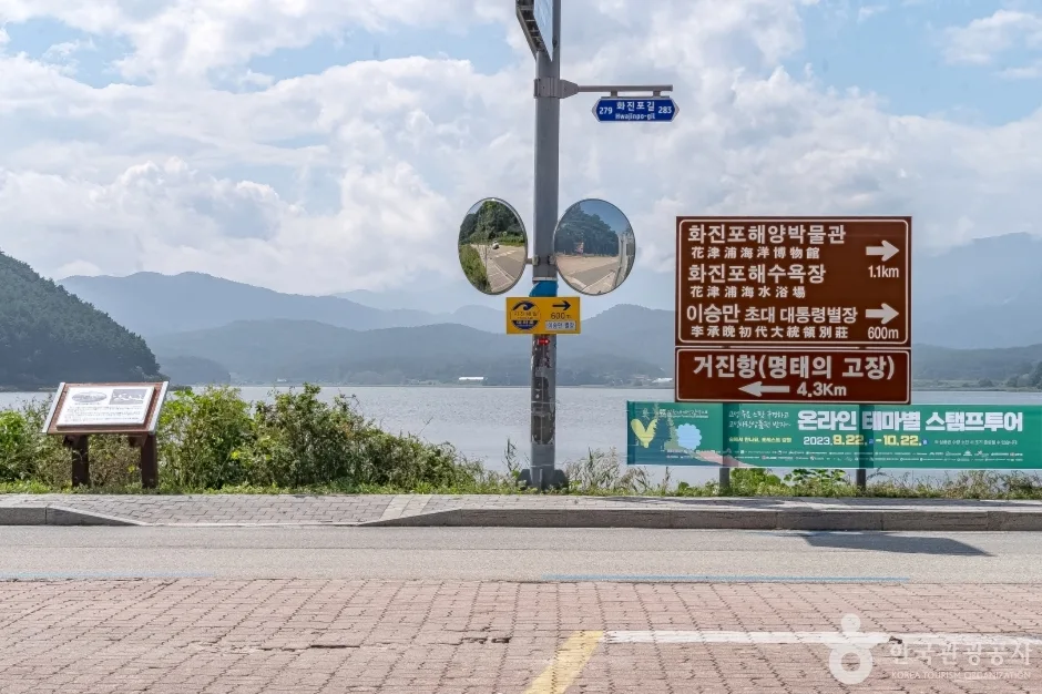 화진포(강원평화지역 국가지질공원)19_화진포콘도