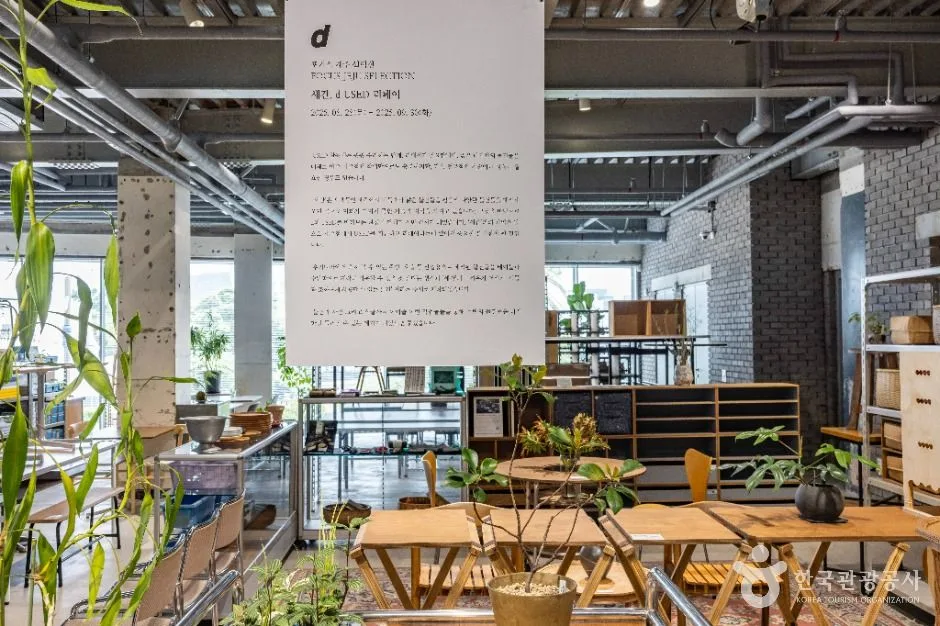 제주_디앤디파트먼트 (3)