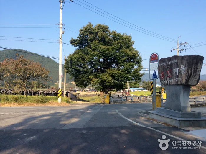 충남 금산 약초 인삼 쇼핑코스