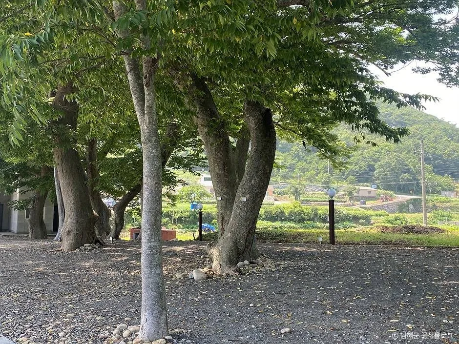 남해_천하몽돌해수욕장_5