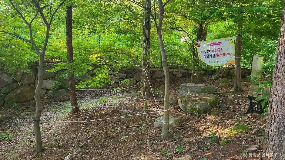 창녕_화왕산자연휴양림 (2).jpg