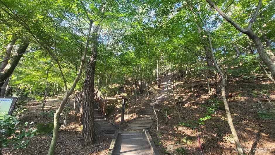 화왕산자연휴양림
