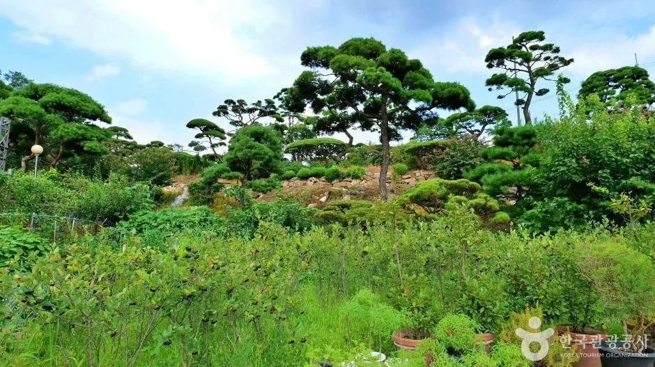 허브체험공원 (5)