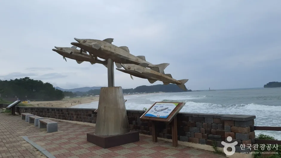 화진포해수욕장