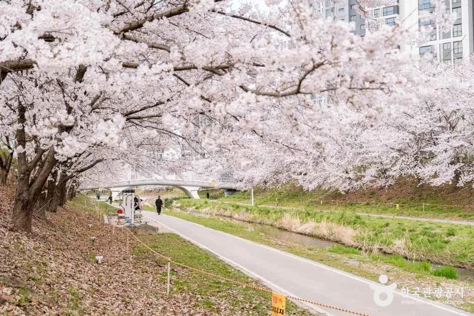 충남_천안_원성천_외부_3.jpg