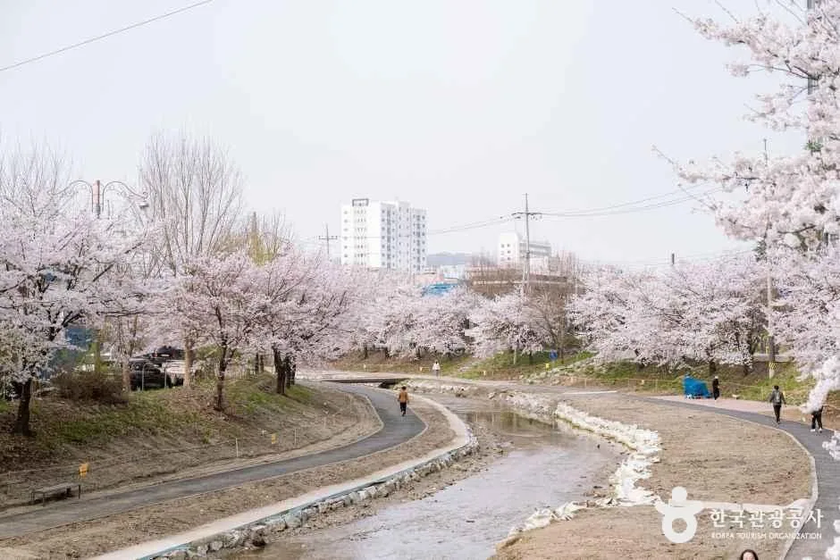 충남_천안_원성천_외부_5.jpg