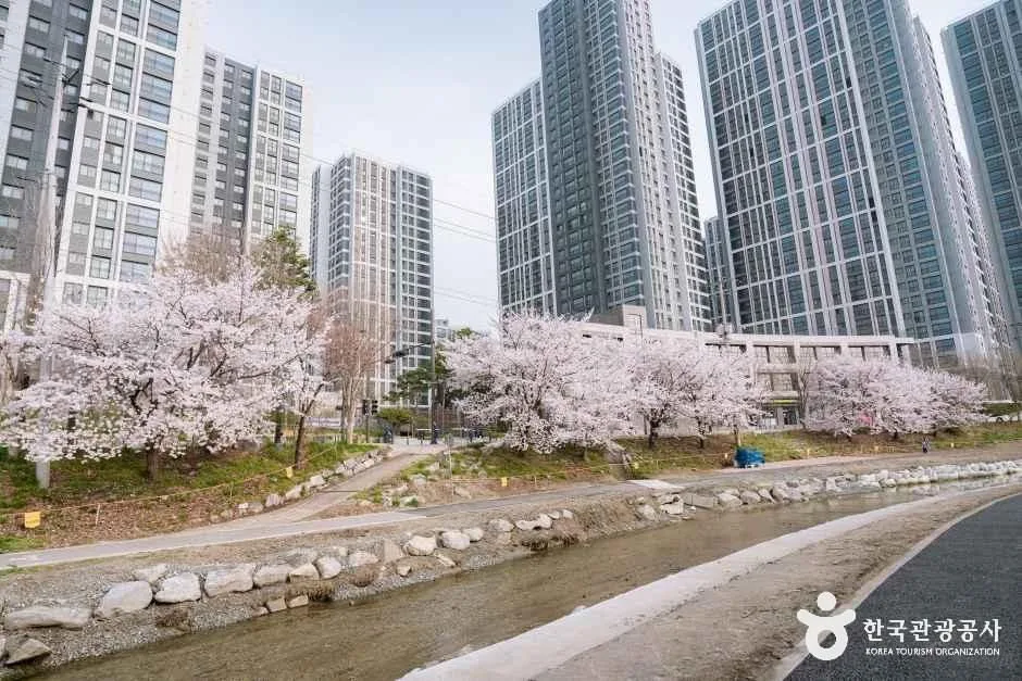 충남_천안_원성천_외부_2.jpg