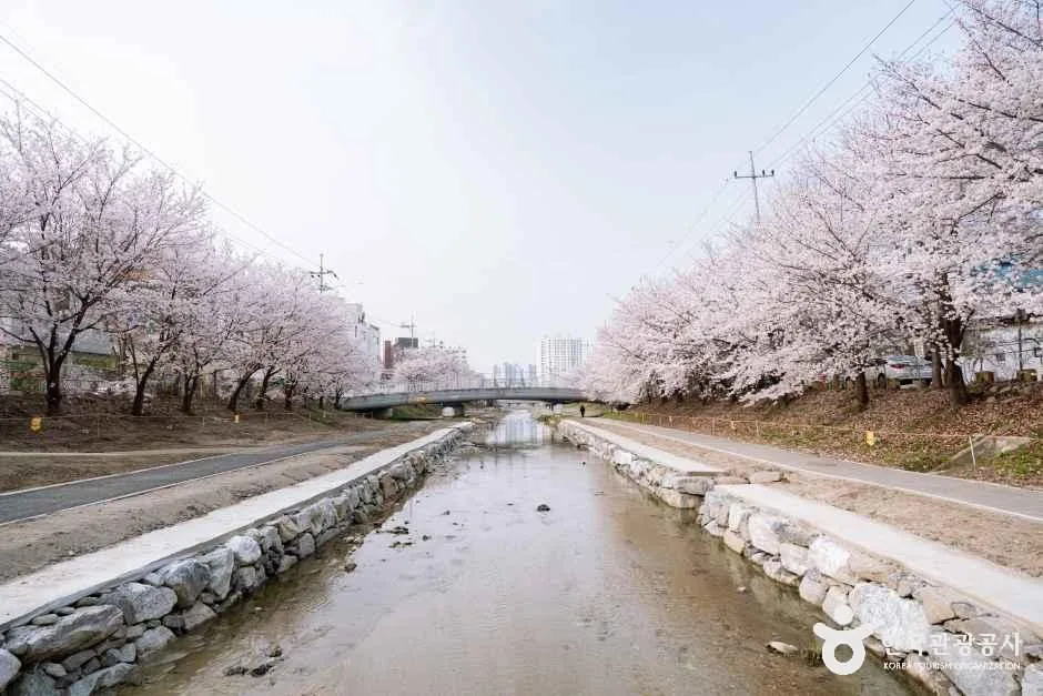 충남_천안_원성천_외부_1.jpg