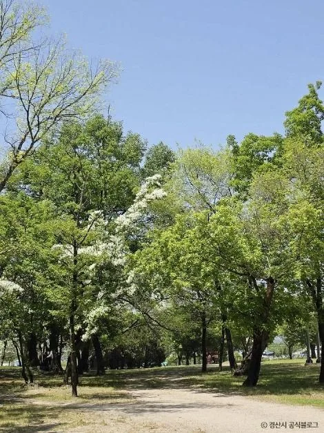 경산_자인계정숲(경산 자인의계정숲) (11)