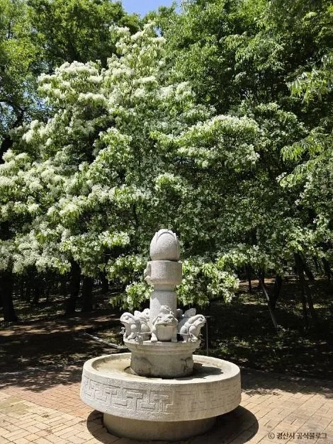 경산_자인계정숲(경산 자인의계정숲) (14)