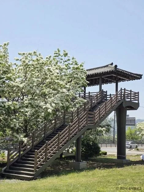 경산_자인계정숲(경산 자인의계정숲) (16)