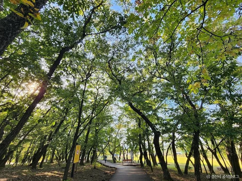 경산_자인계정숲(경산 자인의계정숲) (8)