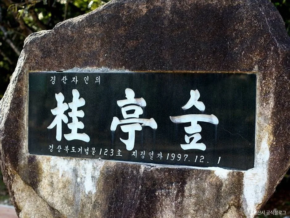 자인계정숲(경산 자인의 계정숲)