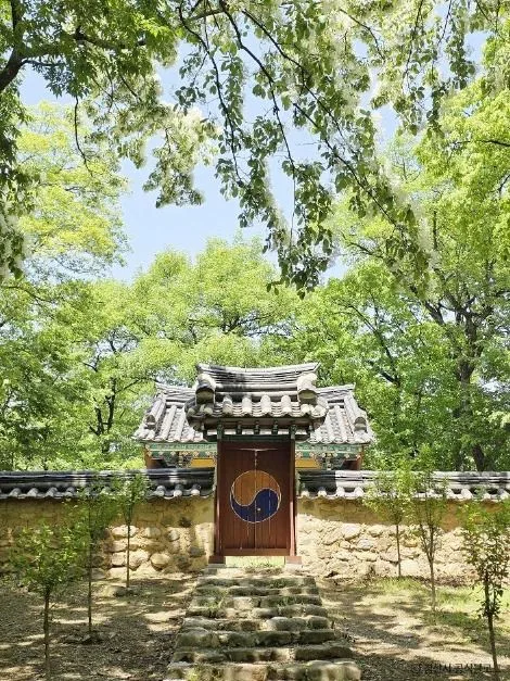 경산_자인계정숲(경산 자인의계정숲) (13)