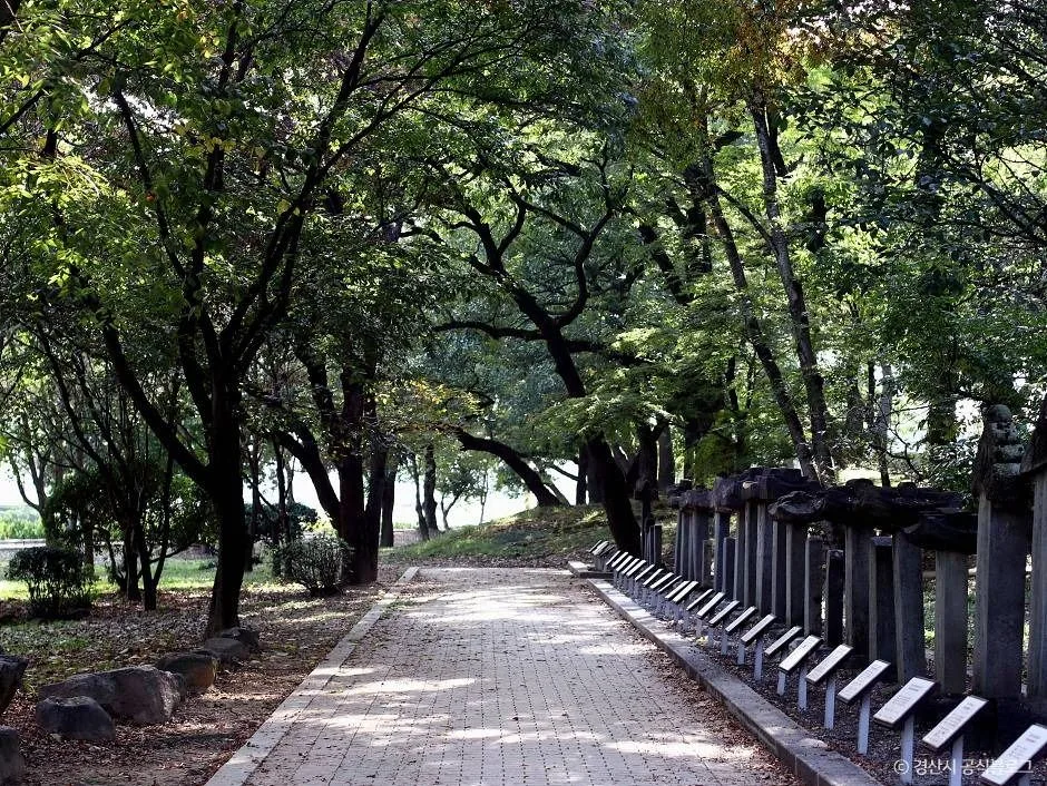 경산_자인계정숲(경산 자인의계정숲) (9)