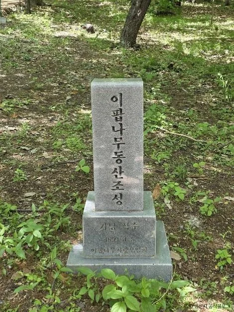 경산_자인계정숲(경산 자인의계정숲) (15)