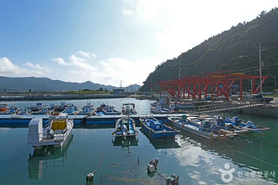 화흥포항 (3)