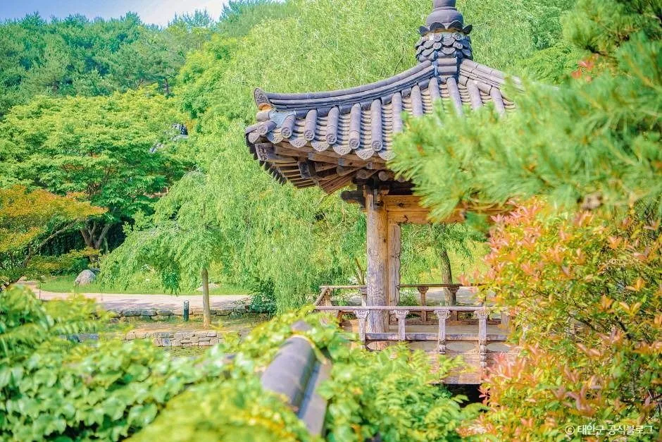 태안_안면도수목원 (4).jpg