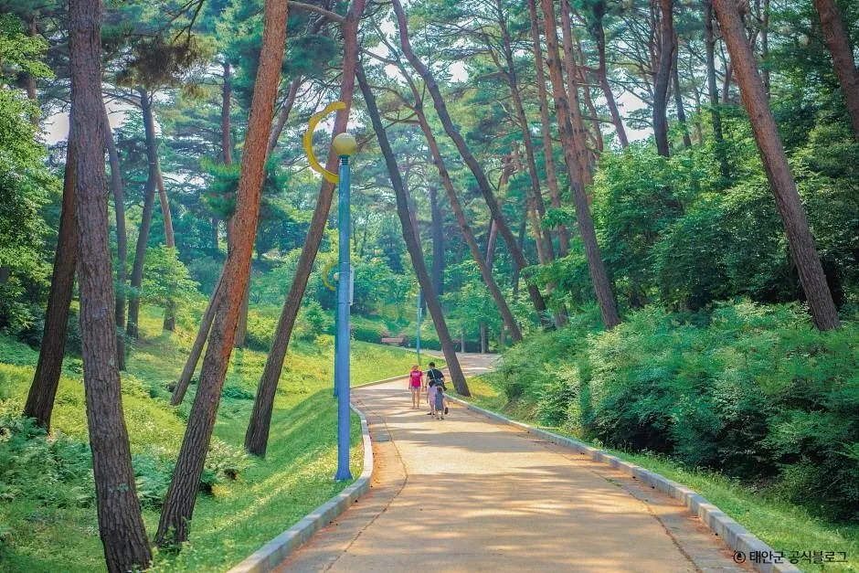 태안_안면도수목원 (3).jpg