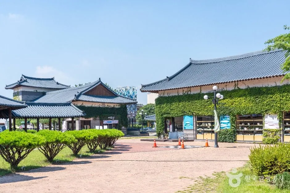 여주_여주도자세상 (2)