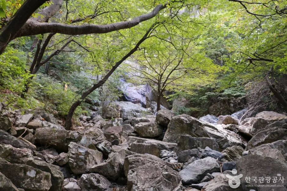 홍류폭포 (7)