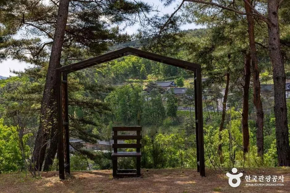 보은_속리산 숲체험휴양마을 (1).jpg