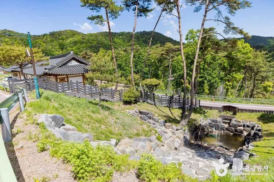 보은_속리산 숲체험휴양마을 (6).jpg