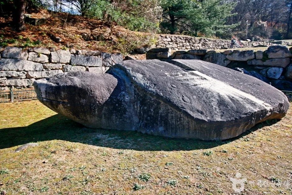 충주 미륵대원지 석조귀부 (3)