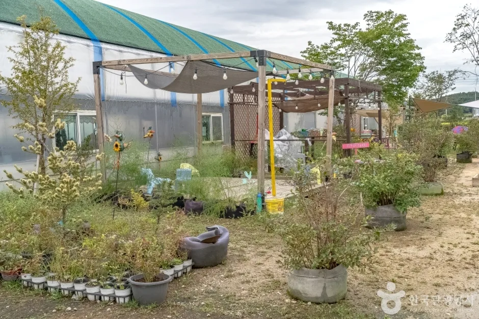 용인청정팜 (4)