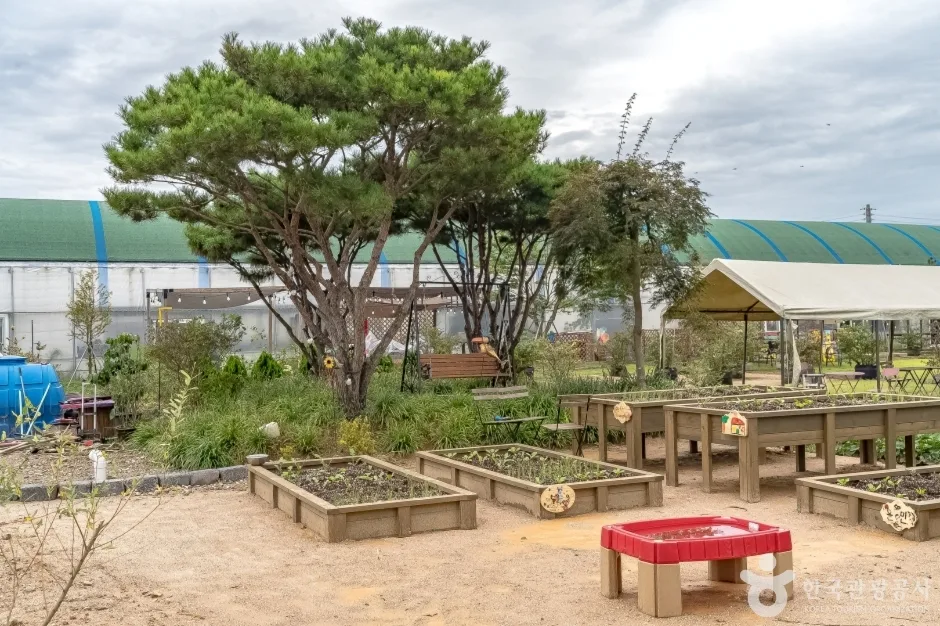 용인청정팜 (6)
