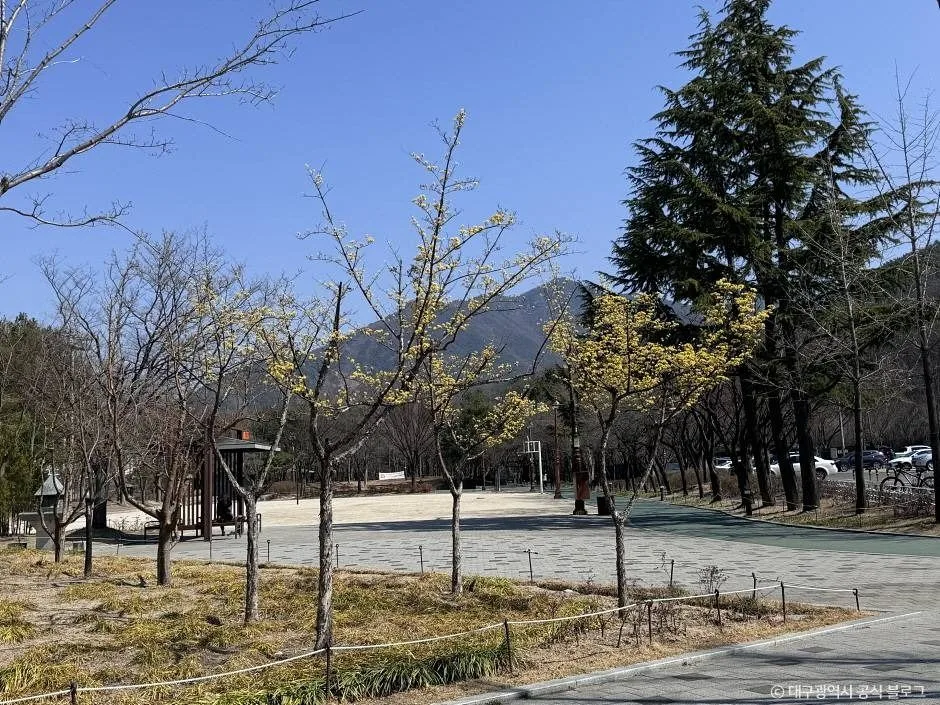 대구_달서구_월광수변공원 (1).jpg