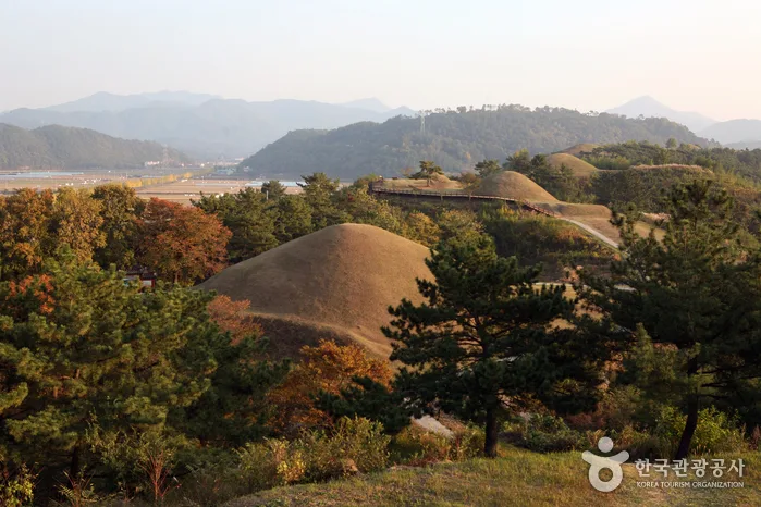 아라가야의 역사를 담은 타임캡슐