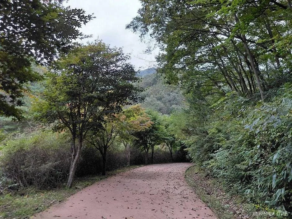 장수_방화동자연휴양림 (5)