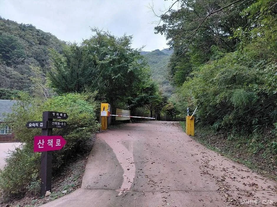 장수_방화동자연휴양림 (1)