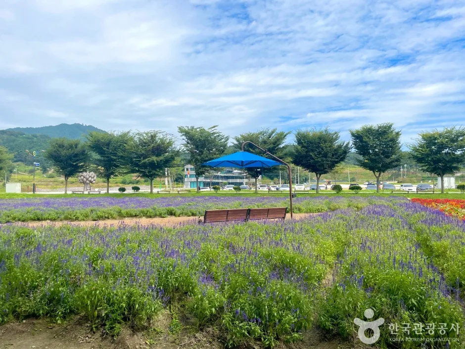함양 상림공원