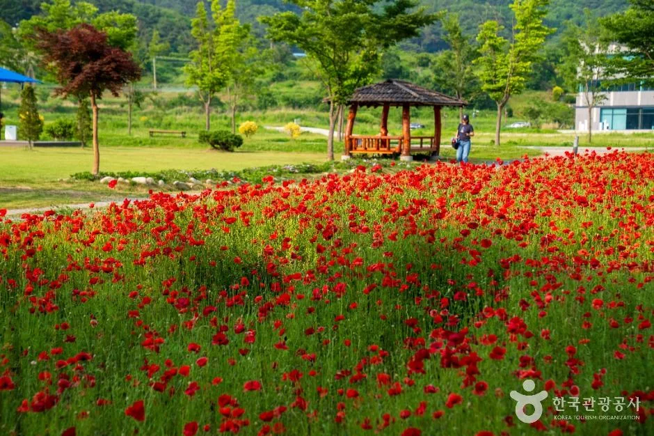 상림공원_5