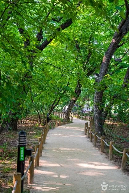 상림공원_3