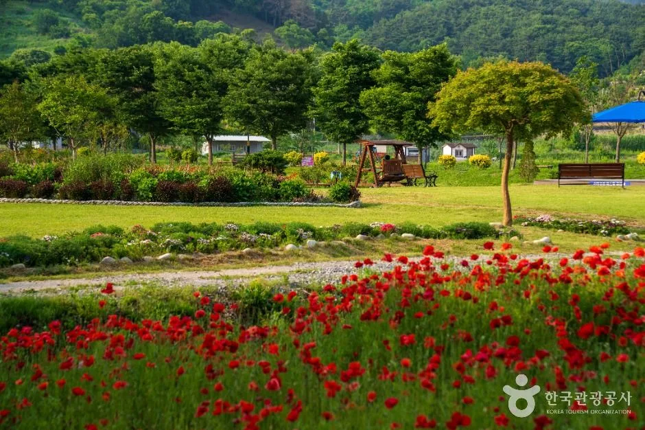 함양 상림공원