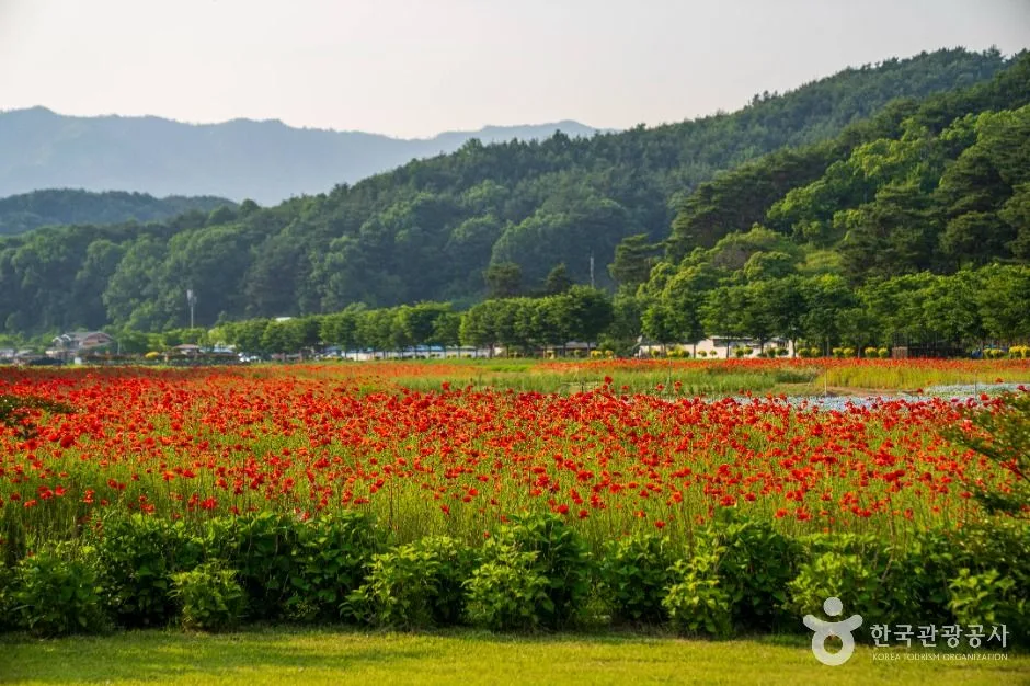 상림공원_8