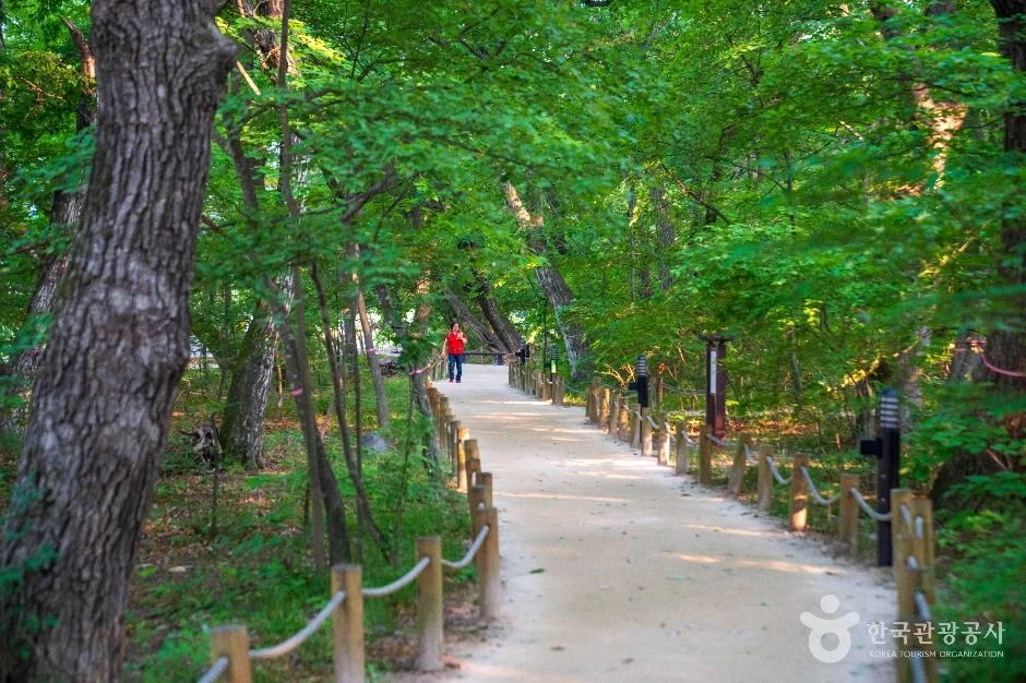 함양 상림공원