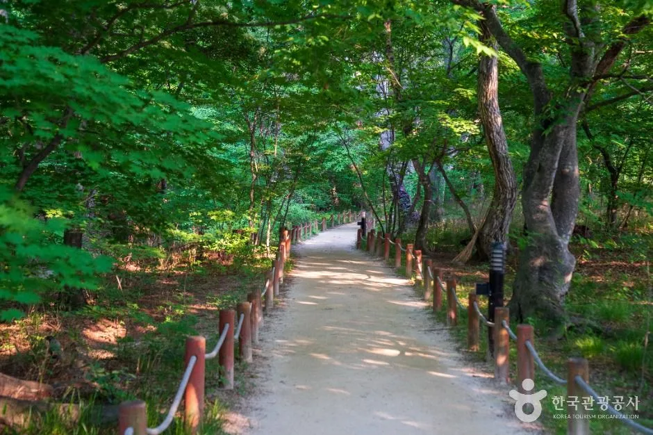 함양 상림공원