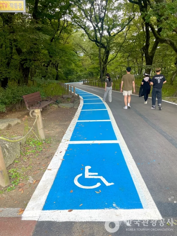 함양 상림공원