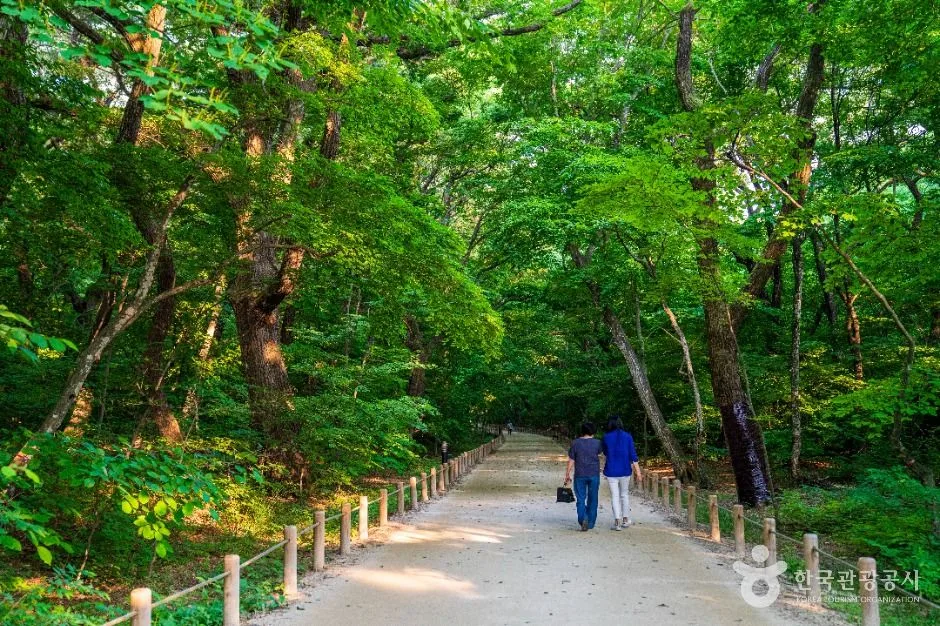 함양 상림공원