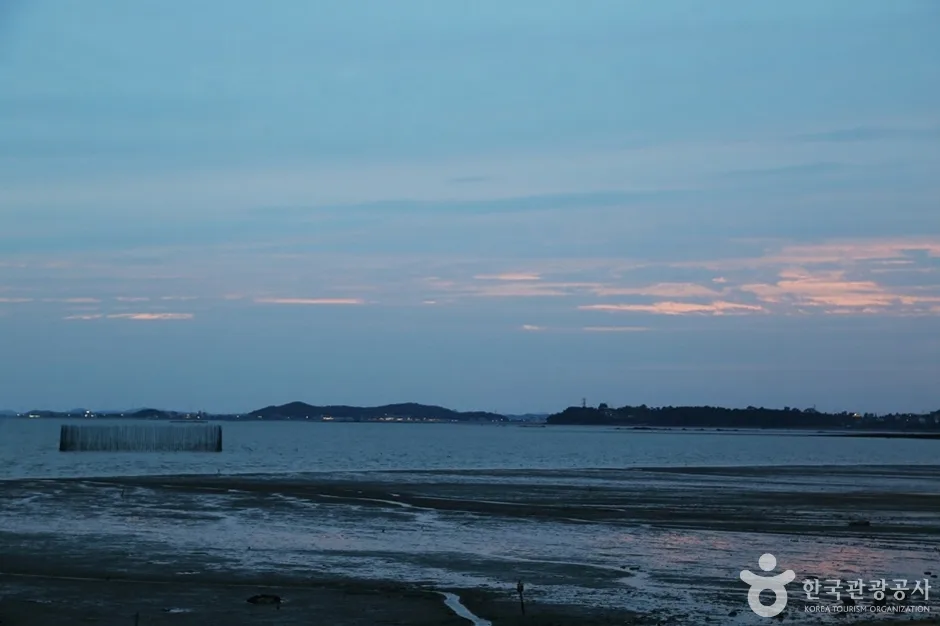 궁평리 해수욕장 (14)