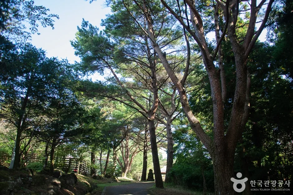제주_서귀포_서귀포자연휴양림(10)