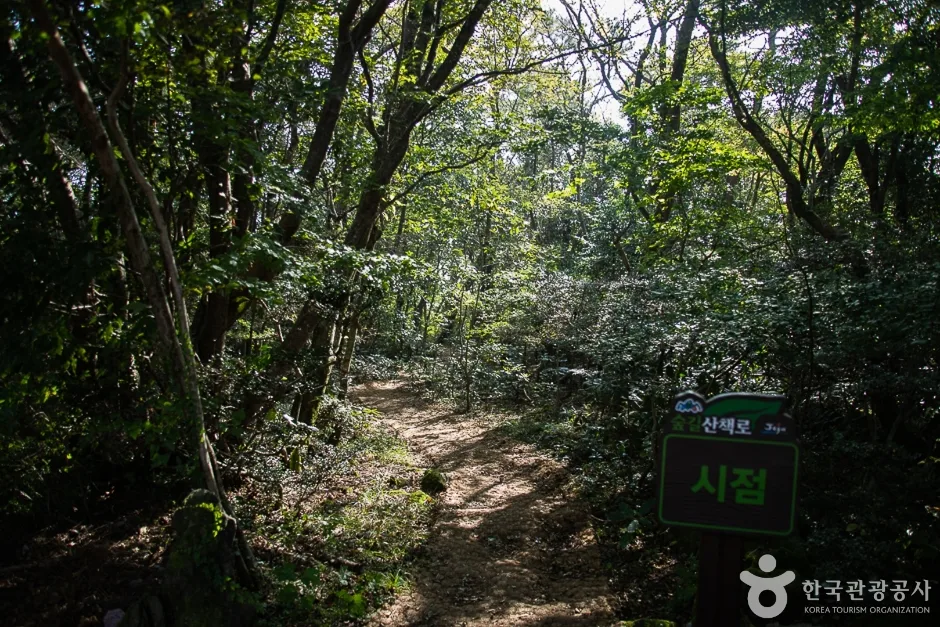 제주_서귀포_서귀포자연휴양림(18)