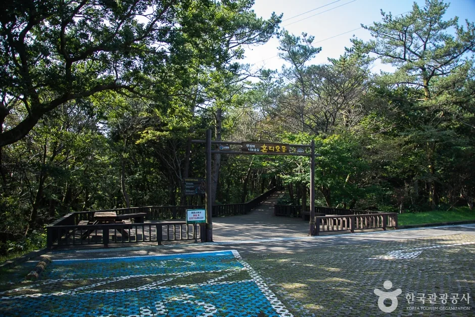 제주_서귀포_서귀포자연휴양림(14)